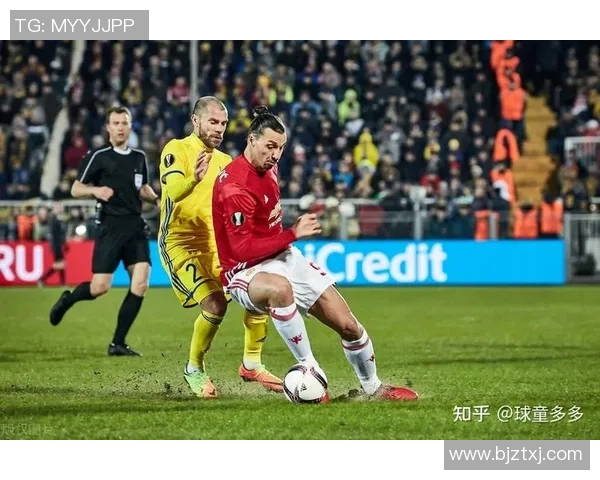 南京足球队实力分析与赛季表现评估的全面数据解读