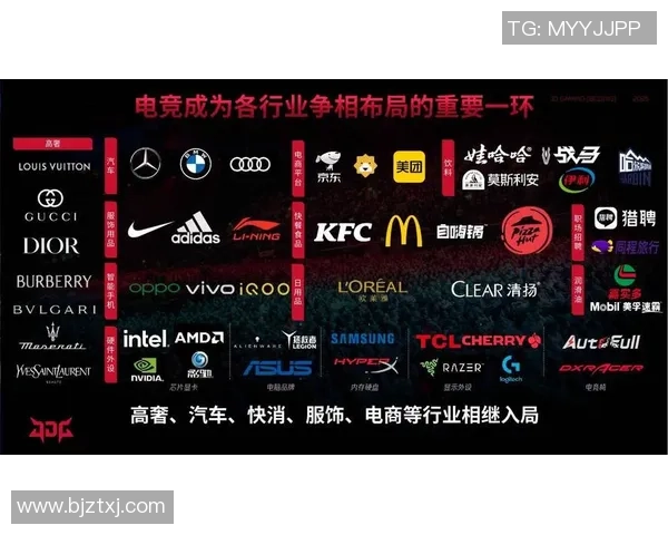 深入分析JDG的运营策略与市场竞争优势探讨