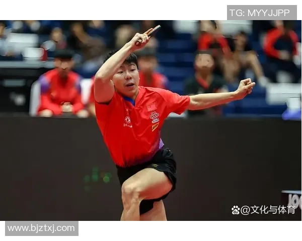 北京乒乓球队个人能力变革引发热议新趋势与挑战分析MBA